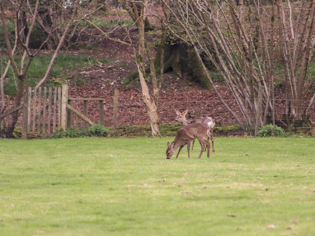 Deer Lodge Wimborne Minster Esterno foto